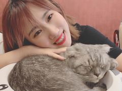 -猫咪咖啡店(新城大街店)