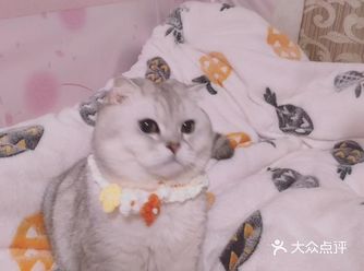 多亏朋友照顾,听说她想我了