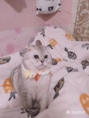 多亏朋友照顾，听说她想我了