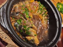 旱蒸剑骨鱼-金龙寨(解西店)