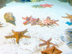 -福州罗源湾海洋世界旅游区