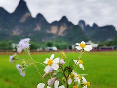 -明仕田园