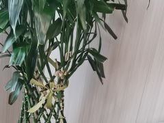 -忆家一宴(大木桥路旗舰店)