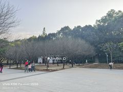 -中山市树木园