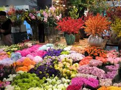 -双季花艺园艺市场(浦东店)