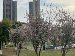 -府河摄影公园