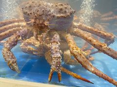 -必点海鲜·海肠捞饭·鲅鱼水饺(滨江道店)