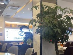 -洪平血旺椒麻鸡雅鱼饭店(熊猫大道店)