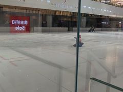 -TheRink大零溜冰场(IFS国金中心店)