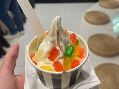 -JW德国冻酸奶Frozen Yogurt(龙湖成都滨江天街店)