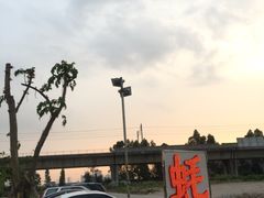-蚝专家(北滘店)