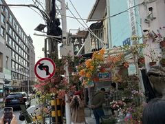 -溪岸路花鸟市场