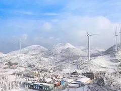 -齐岳山