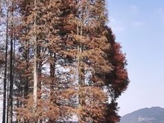 -四明湖
