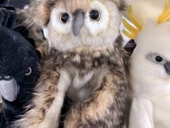 -费瑟代尔野生动物园