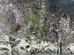 -仙人谷漂流景区