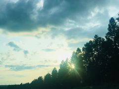 -塞罕坝国家级自然保护区