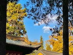 -虞山风景区