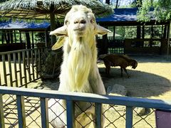 -沈阳森林动物园