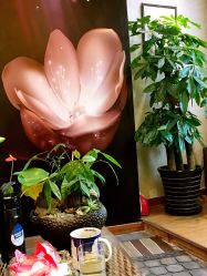 -Easy Lady美甲美睫半永久纹绣工作室