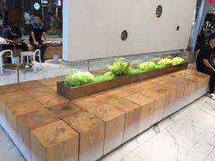 -喜茶(永旺梦乐城店)