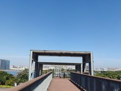 -立新湖公园