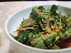 四川折耳叶-富乐山酒店(西黄城根北街店)