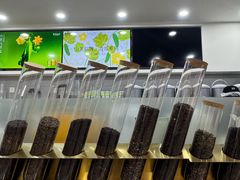 -雾与山茶(大禹城店)