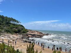 -广东惠东海龟国家级自然保护区