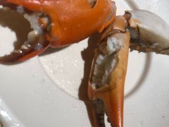 -火齐潮汕砂锅粥(五道口店)