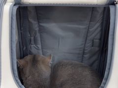 -四月宠物医院·猫专科·心脏专科·内科(转塘店)
