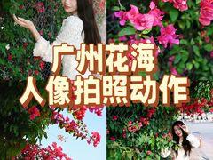 -小洲村