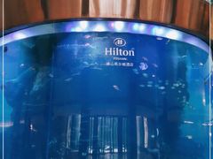 -OPEN開全日自助餐厅·牛肉火锅·海鲜(佛山希尔顿酒店)