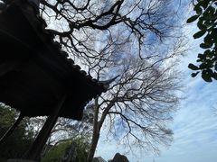-艺圃