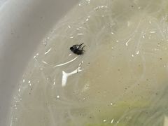 -爆肚冯(廊房二条店)