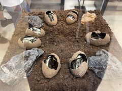 -燕莎友谊商城(亮马桥店)