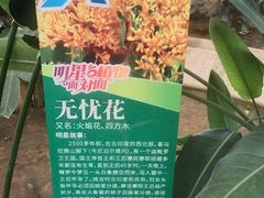 -石家庄市植物园
