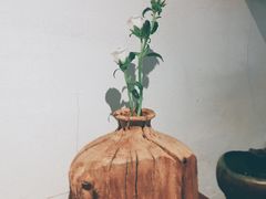 -茶是一枝花泡茶店