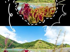 -梅州瑞山生态旅游度假村