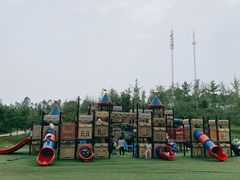 -秀丽东方
