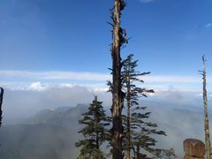 -瓦屋山景区