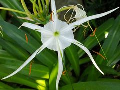 -北京植物园-展览温室