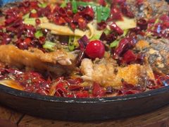 -老板恋上鱼(恒隆广场店)