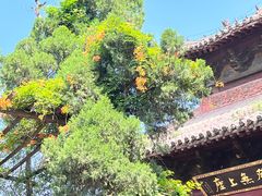 -洛阳白马寺