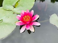 -三里河公园