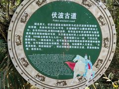 -海南铜鼓岭景区