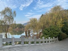 -长广溪湿地公园