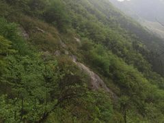 -岳阳东站