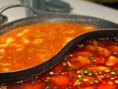 -新辣道鱼火锅(西直门店)