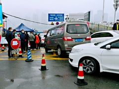 -菜园坝水果市场